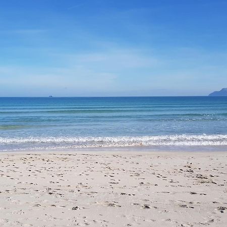 Ideal Property Mallorca - Playasol بورت ذالكوذيا المظهر الخارجي الصورة