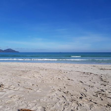 Ideal Property Mallorca - Playasol بورت ذالكوذيا المظهر الخارجي الصورة