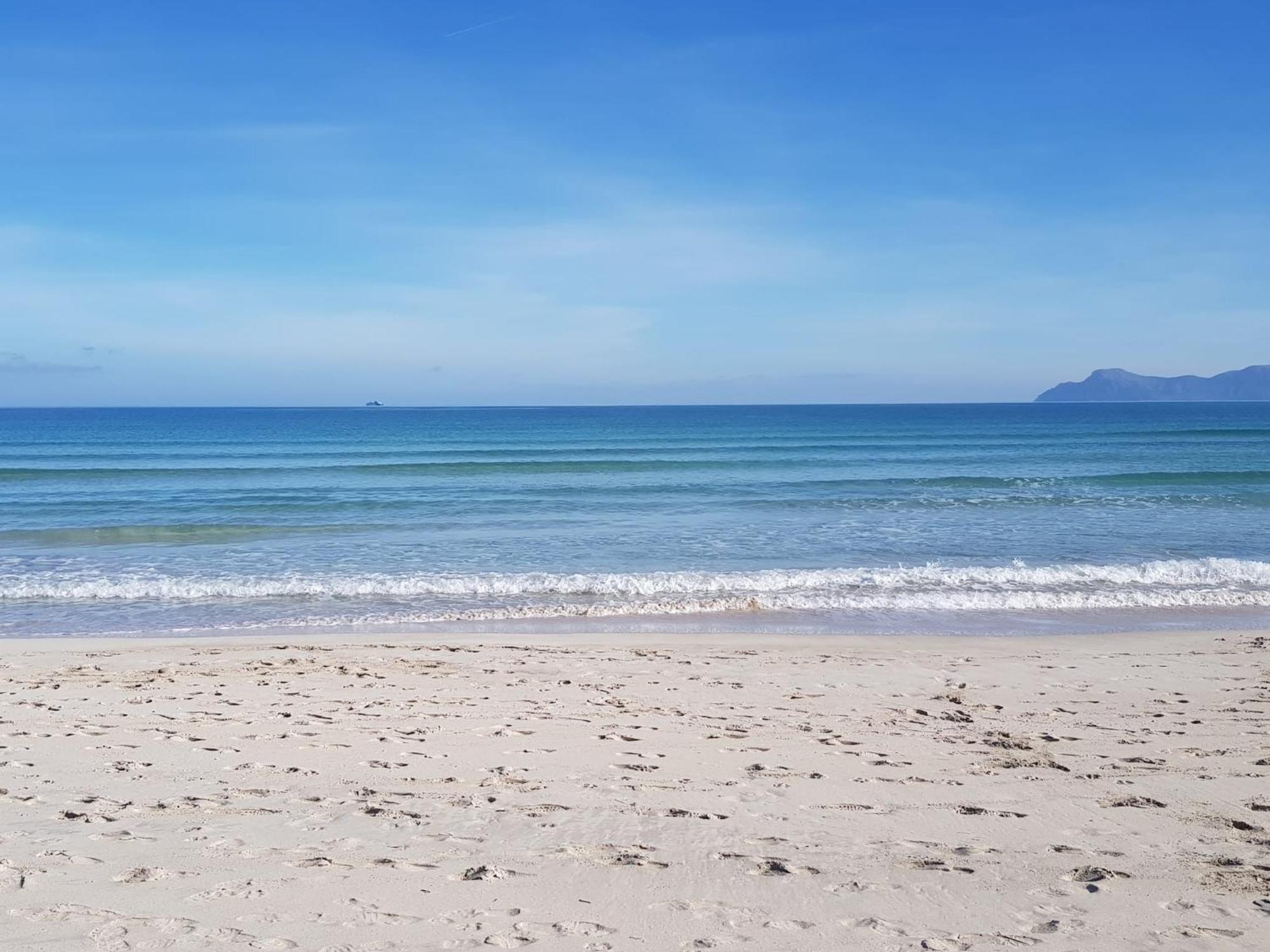 Ideal Property Mallorca - Playasol بورت ذالكوذيا المظهر الخارجي الصورة