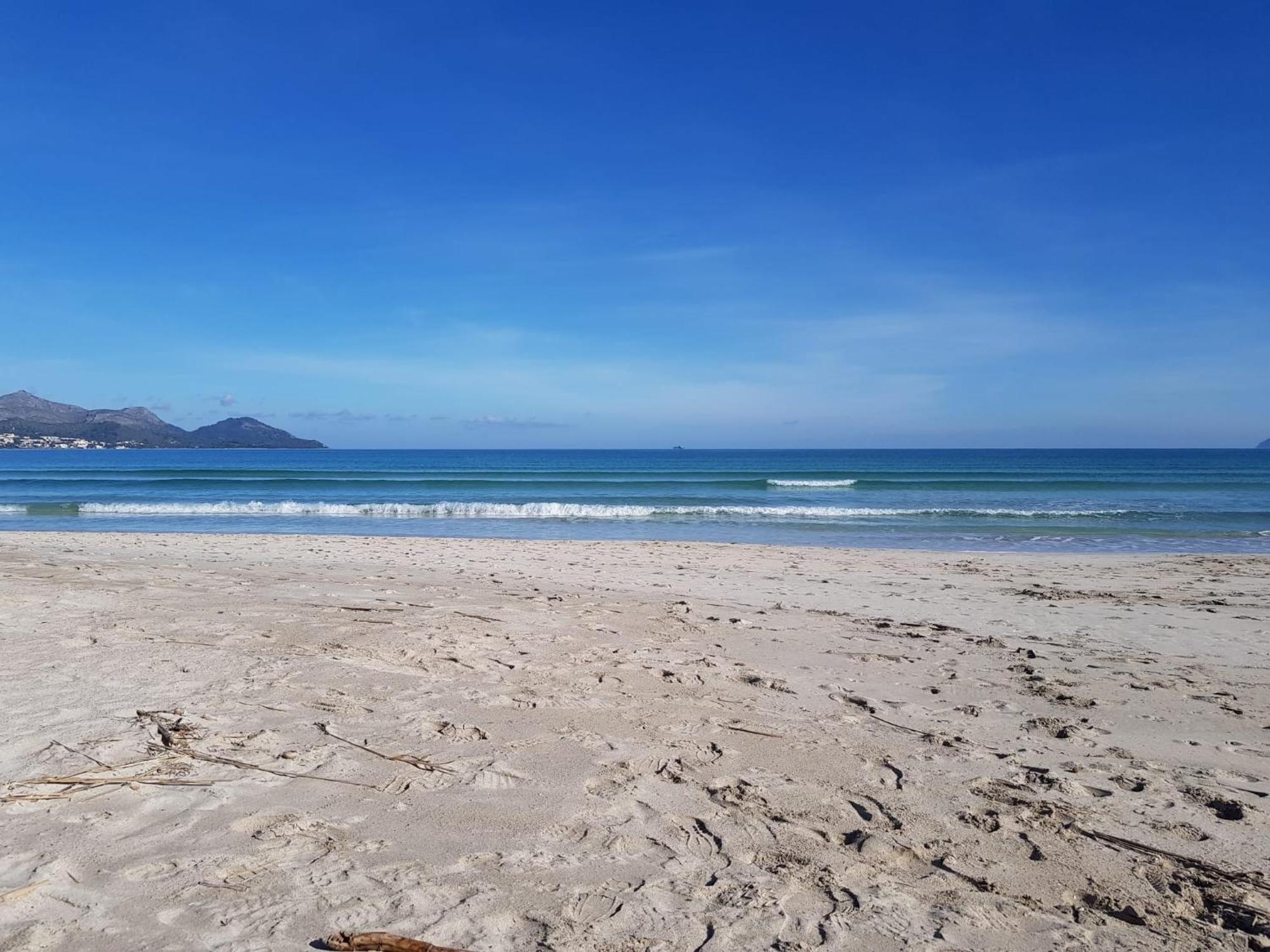 Ideal Property Mallorca - Playasol بورت ذالكوذيا المظهر الخارجي الصورة